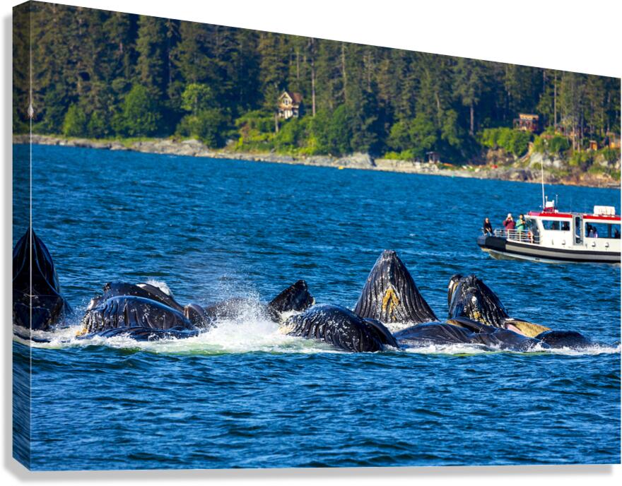 Store Alaska5L3A7546 Canvas Print