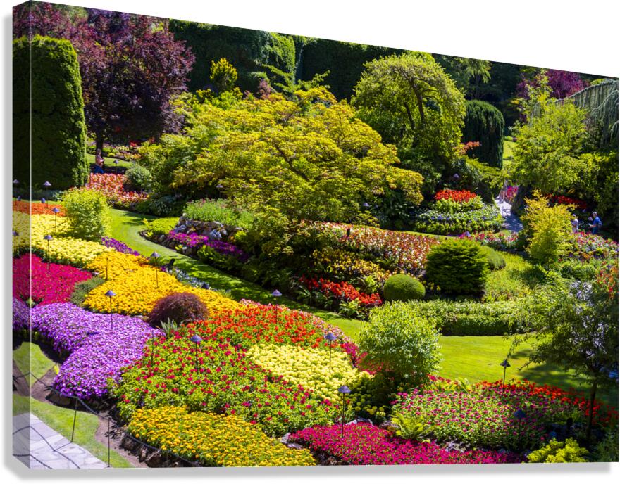 Store Victoria 5L3A8632 Canvas Print