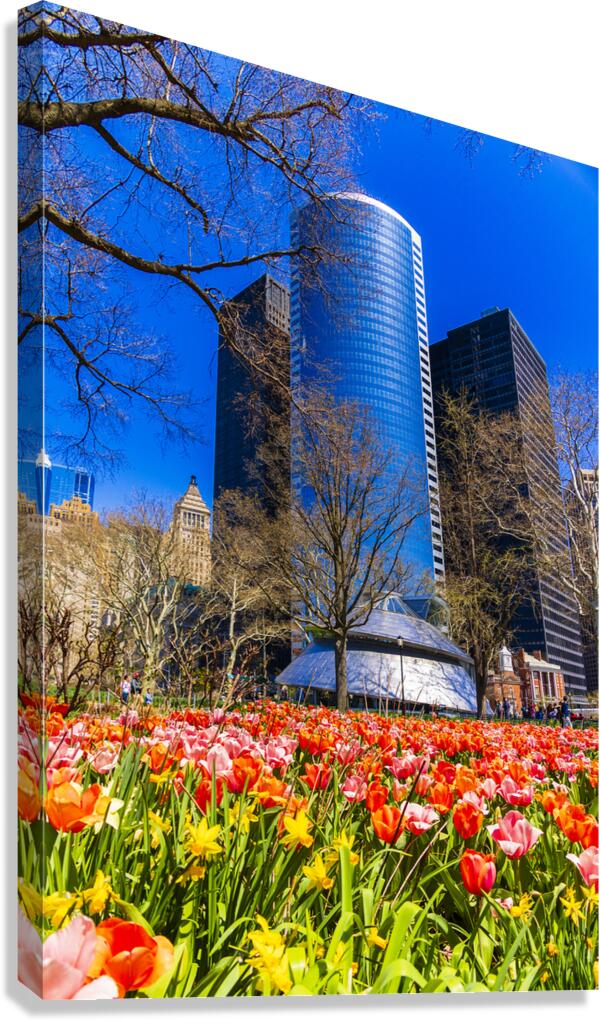 Store New York 5L3A0337 Canvas Print