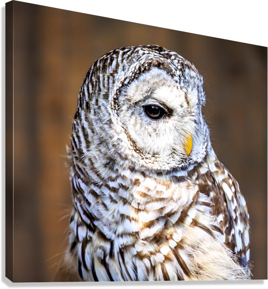 Store Vancouver 5L3A6870 Canvas Print