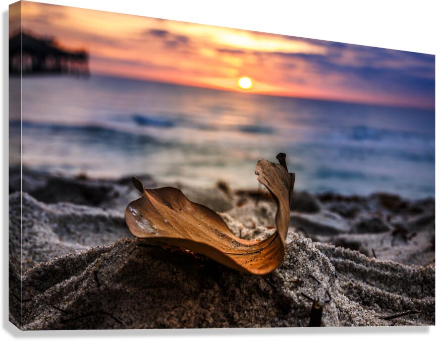 Store Dania Beach AE2A8654 Canvas Print