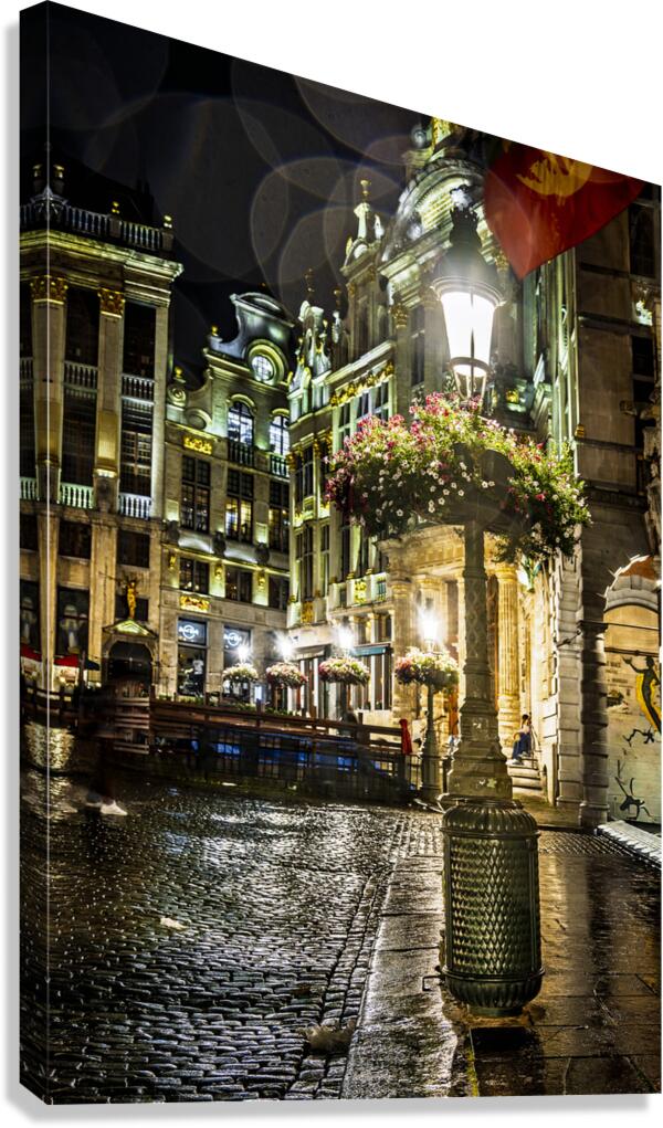 Belgium E2A9168 Canvas Print