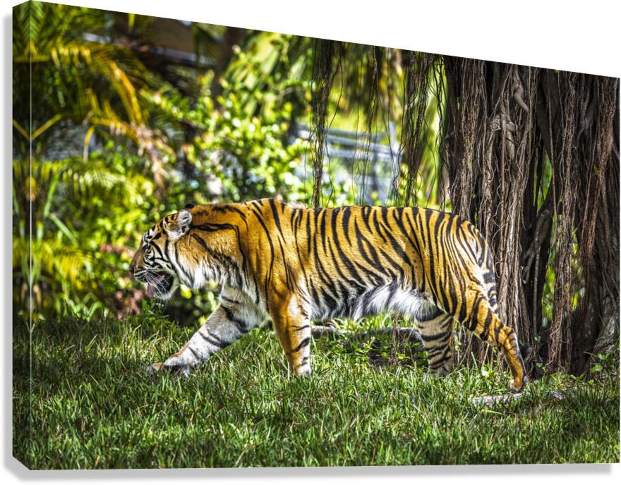 Wildlife 4 Canvas Print