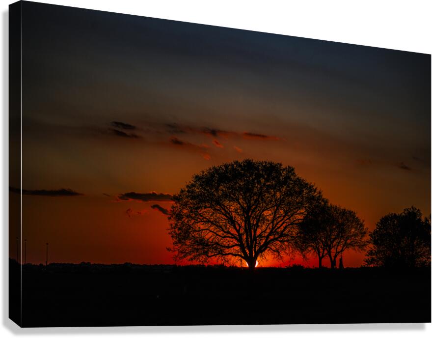 Vista View MG 7330 Canvas Print