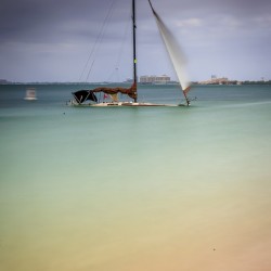 Store Key Biscayne AE2A9078