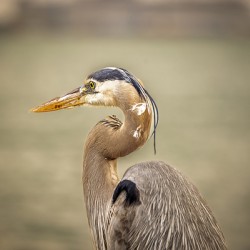 Store Key Biscayne AE2A9010