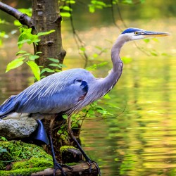 Store Vancouver 5L3A6854