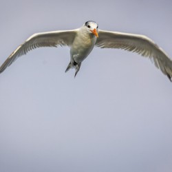 Store Dania Beach AE2A8748