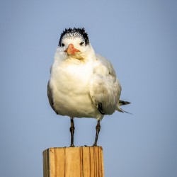 Store Dania Beach AE2A8826