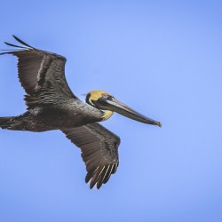 Store Dania Beach AE2A8905