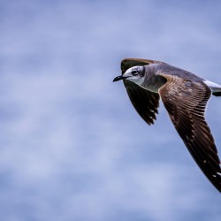 Store Dania Beach AE2A8885