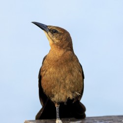 Store Dania Beach AE2A8779