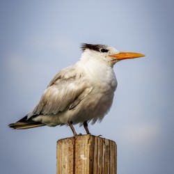 Store Dania Beach AE2A8709