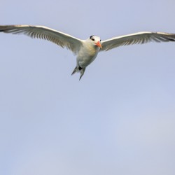 Store Dania Beach AE2A8747