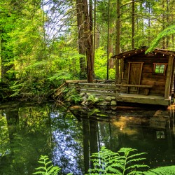 Store Vancouver 5L3A6820