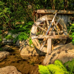 Store Vancouver 5L3A6951