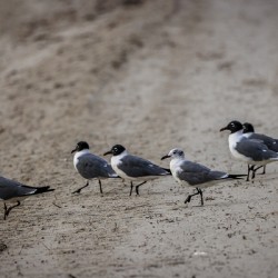 Store Dania Beach AE2A8947