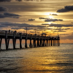 Store Dania Beach AE2A8683