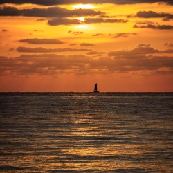 Store Dania Beach AE2A8665