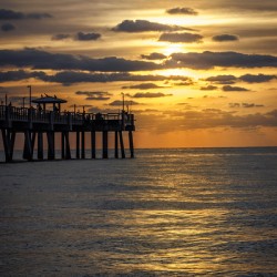 Store Dania Beach AE2A8676