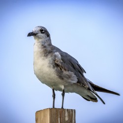 Store Dania Beach AE2A8868