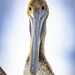 Store Dania Beach AE2A8738