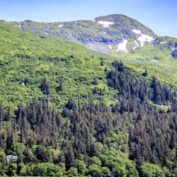 Store Alaska5L3A7439