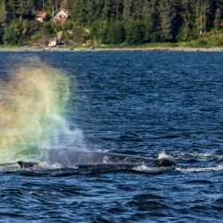 Store Alaska5L3A7628