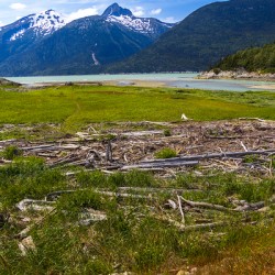 Store Alaska5L3A8128