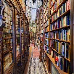 Store Florida 5L3A0316