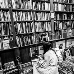 Store Florida 5L3A0329