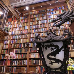 Store Florida 5L3A0336