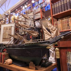 Store Florida 5L3A0350