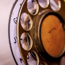 Store Florida 5L3A0380