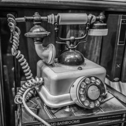 Store Florida 5L3A0384