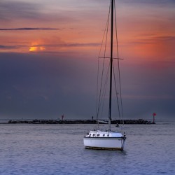 Store Florida 5L3A6545