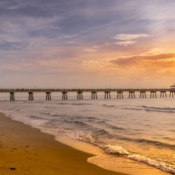 Store Florida 5L3A6579