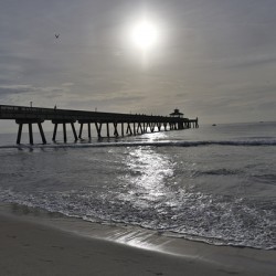 Store Florida 5L3A6591