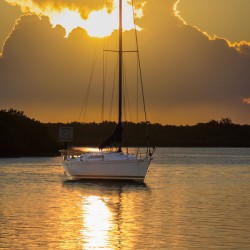 Store Florida 5L3A9278