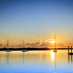 Store Florida 5L3A9280