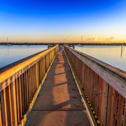 Store Florida 5L3A9287