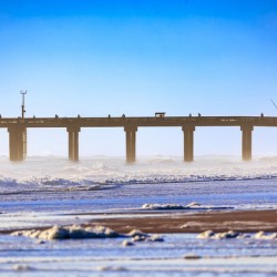 Store Florida 5L3A9303