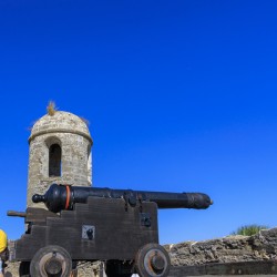 Store Florida 5L3A9385