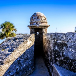 Store Florida 5L3A9392