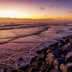 Store Florida 5L3A9487