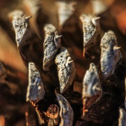 Store Georgia 5L3A0127