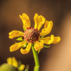 Store Georgia 5L3A0133