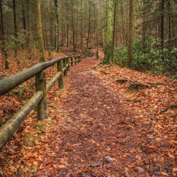 Store Georgia 5L3A5708