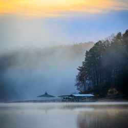 Store Georgia 5L3A9746