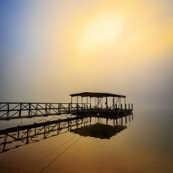 Store Georgia 5L3A9857